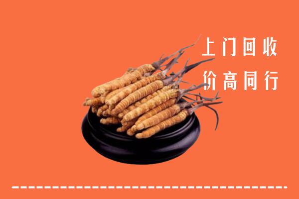 高价求购：成华区回收散虫草