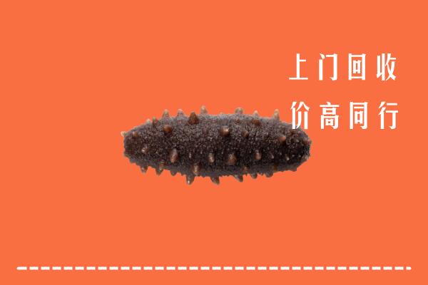 高价求购：成华区回收海参