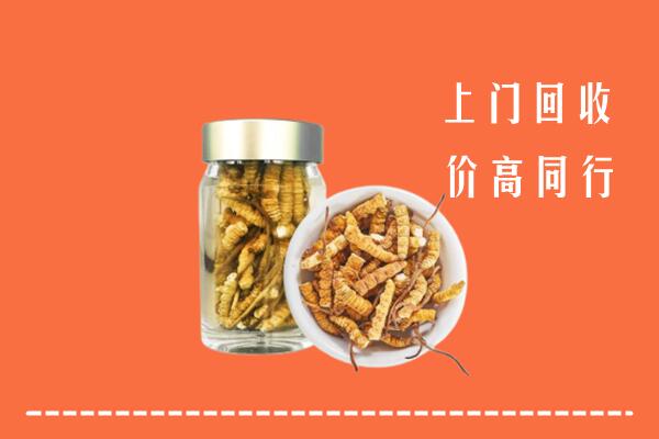 成华区高价回收冬虫夏草