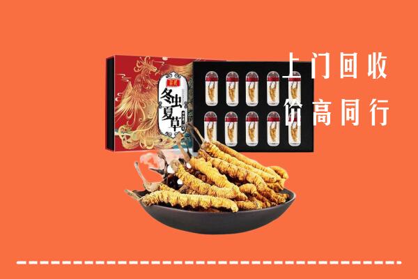 收购行情：成华区回收虫草